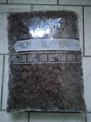 Verkaufe Erlenzapfen Bild 4