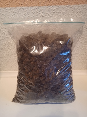 Verkaufe Erlenzapfen Bild 3