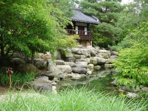 Besprechen von Warzen, Gürtelrose und Vieles mehr