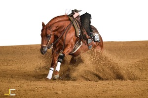 Deckanzeige - TG - Quarter Horse - Reining
