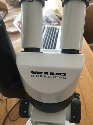 Leica Mikroskop Wild M8 mit Fototubus HU 404891 für M-Serie+PCL300 Standard Bild 3