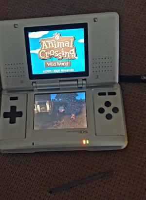 Nintendo DS  Bild 1