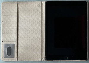 iPad Pro 9,7  A1673, 128 GB, WLan, Bild 5