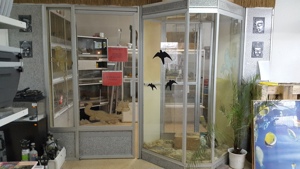 Vogelvoliere oder Terrarium zu verkaufen. Bild 1