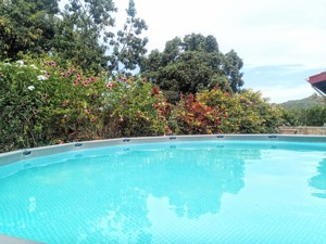 Schönes Haus mit Pool und Garten in der Karibik Las Galeras Samana Dominikanische Republik Bild 4