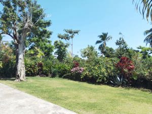 Schönes Haus mit Pool und Garten in der Karibik Las Galeras Samana Dominikanische Republik Bild 8