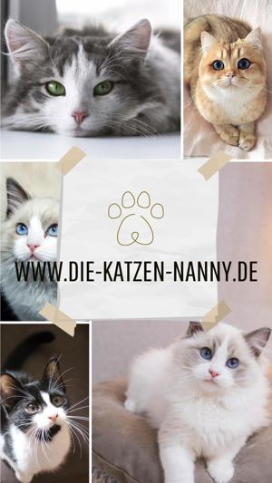 Mobile Katzenbetreuung Katzensitting