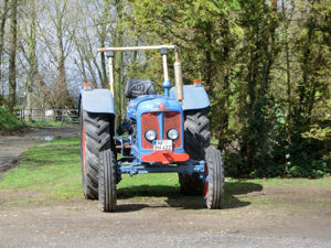 Traktor Fordson Major Bj. 1959 Oldtimer Guter Zustand Bild 4