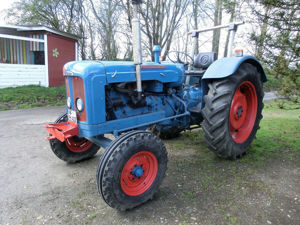 Traktor Fordson Major Bj. 1959 Oldtimer Guter Zustand Bild 8