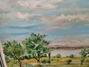 schönes  Bodensee   Gemälde    Bild 3