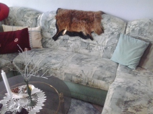 Couch, Eckcouch Bild 2