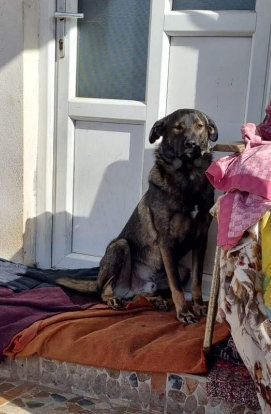 Hey, hier kommt Alex ! Bild 6