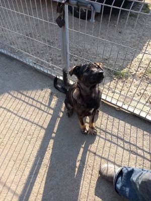 Hey, hier kommt Alex ! Bild 5