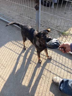 Hey, hier kommt Alex ! Bild 4