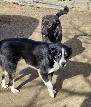 Hey, hier kommt Alex ! Bild 9