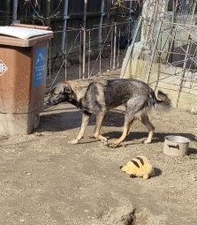 Hey, hier kommt Alex ! Bild 8