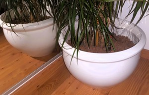 3 weisse (reinweiß, wie die Wand) Übertöpfe, Durchmesser 35cm, ggf mit Hydrosteinen