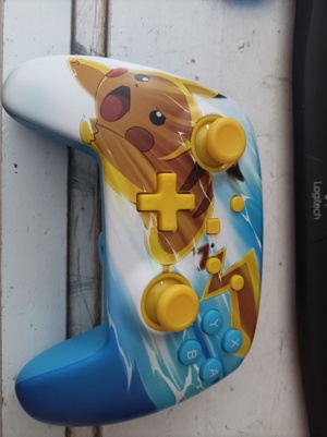 Nintendo Switch Controller 