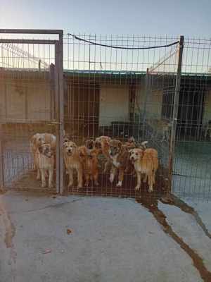 Karzan sucht DICH Bild 4