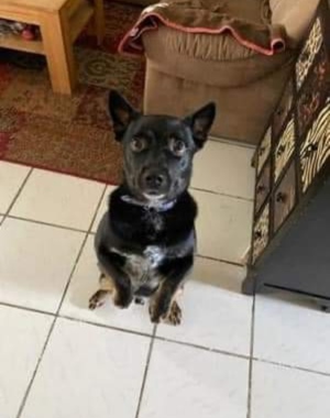 Turbo, DE, ein sportlicher Rohdiamant