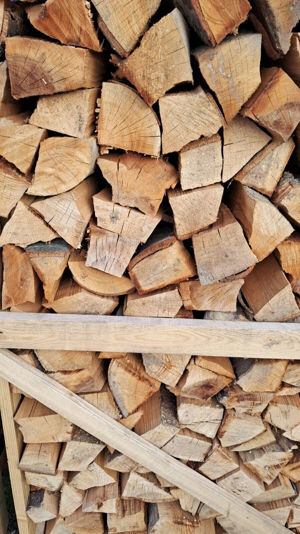 Brennholz auf Paletten und trocken  Bild 5