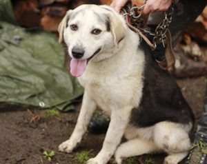 Zeigst du Silvan, dass das Leben auch schön sein kann? Bild 10