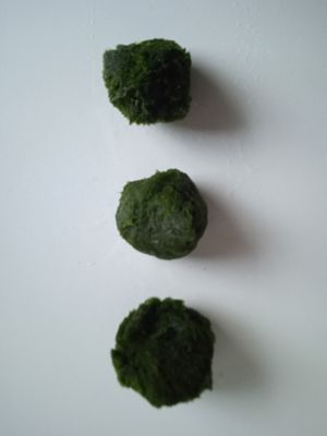 Verkaufe Mooskugeln Größe ca. 3 - 4 cm und ca. 4   6 cm Bild 3