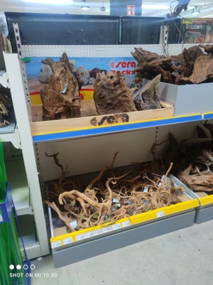 Riesen Auswahl an Aquarium und Terrarium Wurzeln  Bild 2