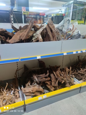 Riesen Auswahl an Aquarium und Terrarium Wurzeln  Bild 3