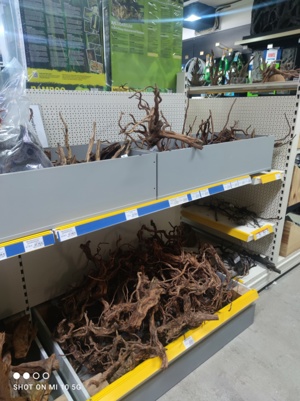 Riesen Auswahl an Aquarium und Terrarium Wurzeln  Bild 4