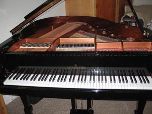 Brodmann Grand Piano PE 150 schwarz poliert, 3 Pedale Bild 1