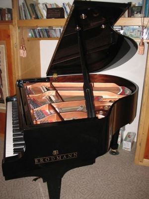 Brodmann Grand Piano PE 150 schwarz poliert, 3 Pedale Bild 2