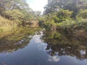  Brasilien 1'000 Ha Tiefpreis - Grundstück mit Rohstoffen