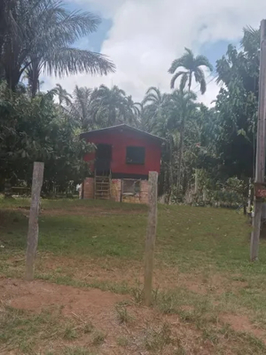 Brasilien 50 Ha Tiefpreis-Farm in der Nähe von Autazes AM Bild 1