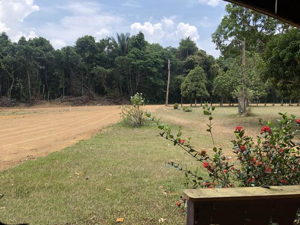 Brasilien 50 Ha Tiefpreis-Farm in der Nähe von Autazes AM Bild 4