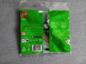 Lego Polybag Minecraft 30647 Bild 2