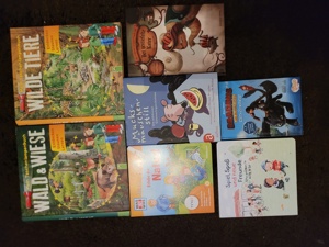 Ein Karton Kinderbücher, Was ist Was, Peter Pan, etc Bild 2