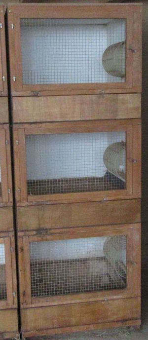 Meerschweinchen   Kaninchenstall - 3 Boxen (3 x 70 x 70 cm)