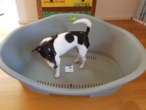 Nachhaltiges Trixie Hundebett - Be Eco - Kunststoff Sleeper! NEU! Bild 1