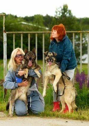 Der blinde Kuzya und seine Freundin Myschka suchen eine Familie! Bild 2
