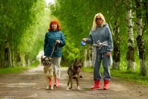 Der blinde Kuzya und seine Freundin Myschka suchen eine Familie! Bild 9