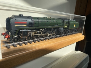 Spur 1 Live-Dampflokomotiven Bild 7
