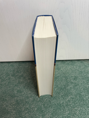 Mitternachtsfalken von Ken Follett, Neu Bild 2