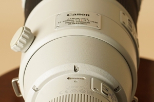 Canon EF 500mm F4.0 L IS II USM Bild 4