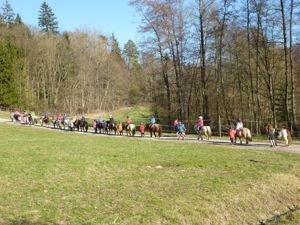 Schnuppernachmittag ab 4jahre   74538 Pferdehof Dendelbach