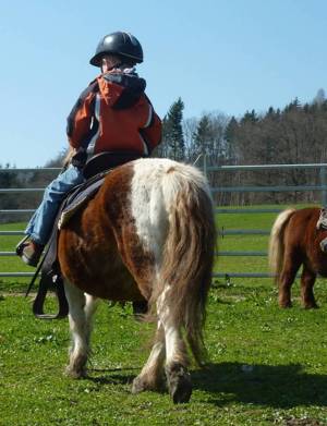 Schnuppernachmittag ab 4jahre   74538 Pferdehof Dendelbach Bild 5