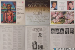 Schallplatten LP, von Haydn, Bach, Walzer, Operette, Märsche uvm Bild 4
