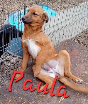 Paula wird immer übersehen Bild 2