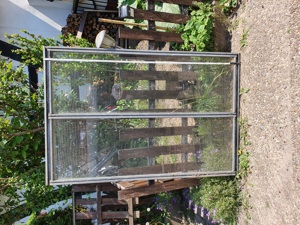 Glas ramen für Garten  Bild 4