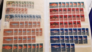 Briefmarken BRD Lageralbum postfrisch 1963-1964 Bild 5